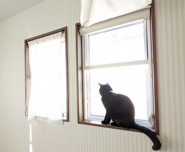 北欧スタイルの窓に縦すべり窓と猫